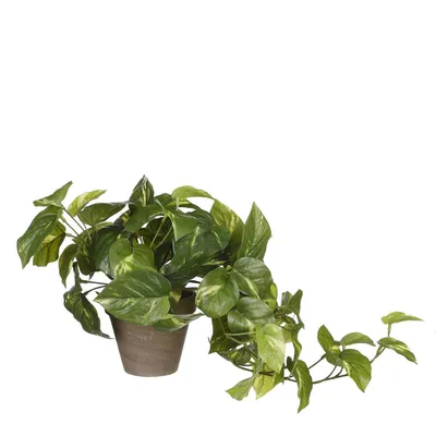 Produktbild von Mica künstlicher Pothos grün im Topf 44 x 17 cm