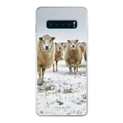 Produktbild von MuchoWow® Handyhülle Schutzhülle Hülle für Samsung Galaxy S10 Plus Schafe - Wolle - Schnee Silikon Softcase Handy Hülle - Schutzhülle