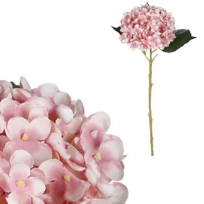Obrázek produktu pro Autronic Hortenzie růžová KN7008 PINK