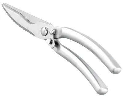Geflügelschere 25 cm Edelstahl – robuste Küchenschere