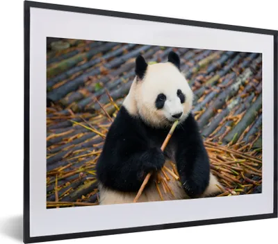 Produktbild von MuchoWow® MuchoWow® Gerahmtes Poster Großer Panda - Bambus - Blätter 40x30 cm - Poster mit zchwarzem Bilderrahmen - Bilderrahmen - Poster im Rahmen