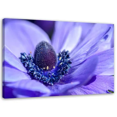 Produktbild von Leinwandbild blaue und violette blume 100x70 cm Feeby blau wandbild bereit zum aufhängen