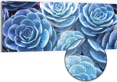 Produktbild von DEQORI Hybrid Leinwand Bild 150x60 cm 'Blaue Sukkulentenpracht' Wandbild Glas flach modern