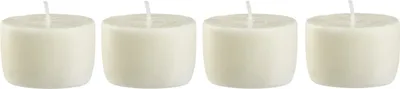Produktbild von Blomus Nachfüllkerzen 4er-Set Frable Figue, Duftkerzen, Kerzen, ohne Palmöl, 66420