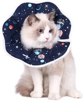 Image de Collier ajustable pour chat, idéal pour les soins, doux et confortable, taille M