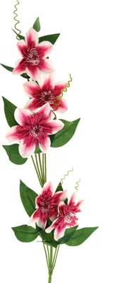 Produktbild von Clematiszweig Kunstblume Deko-Zweig Pink Weiß 5 Blüten L84cm