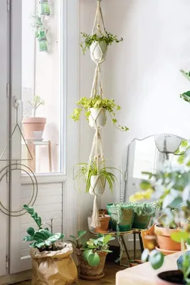 Image de Suspensions pour plantes 3 animaux Intérieur Extérieur Panier à plantes suspendu Corde de coton avec perles, 105cm,
