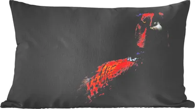 Produktbild von MuchoWow® Zierkissen Sofakissen Wohnzimmer Dekokissen 50x30 cm Fasan - Schwarz - Vogel - Wohnzimmerdekoration - Polster mit Photo