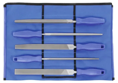 Immagine prodotto di Set di lime multiuso Dick, 5 pezzi, in custodia con rotelle; taglio 2, lunghezza senza gambo: 250 mm, 5 pezzi