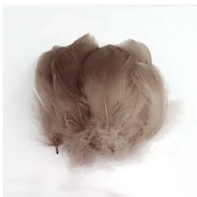 Image de Plumes de décoration, taupe, env. 2 g