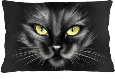 Produktbild von ARCO DESIGN Dekokissen "Nero" Farbig Stoffbezug 40 x 60 cm Dekokissen mit Füllung Dekokissen für Wohnzimmer Schlafzimmer