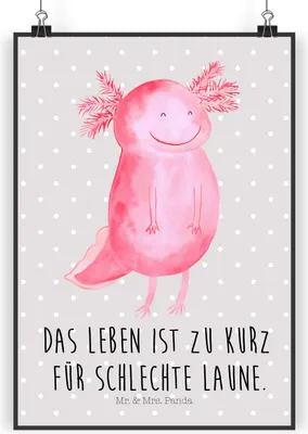 Produktbild von Mr. & Mrs. Panda Bild Axolotl Glücklich DIN A3 - Grau Pastell - Geschenk, Kunstdruck, wanddeko, drucke, Plakat, Lebensfroh, Motivationsspruch, gut Gelaunt, Lurch
