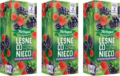 Produktbild von Herbapol Walderdbeere Brombeere Tee 60 Teebeutel - Früchtetee heiße oder kalte