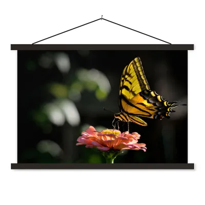 Produktbild von MuchoWow® Textilposter Schmetterling - Botanisch - Blume 60x40 cm mit schwarzem Rahmen - Hölzernes