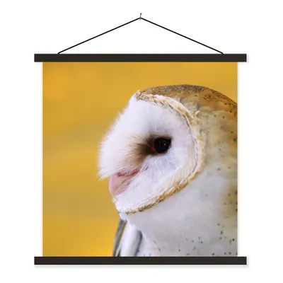 Produktbild von MuchoWow® Textilposter Eule - Gelb - Tier 60x60 cm mit schwarzem Rahmen - Posteraufhänger