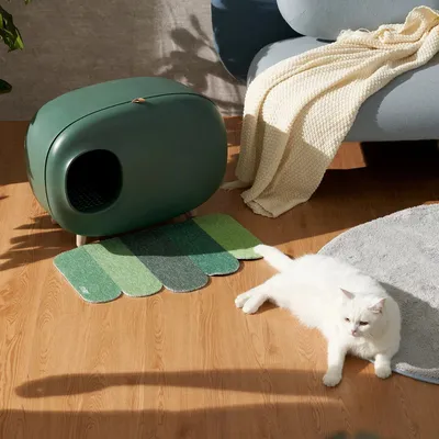 Produktbild von Makesure – Katzentoilette mit Standbeine, grün