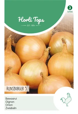 Productafbeelding van Uien Rijnsburger 5 | Uienzaad van Hortitops [Te gebruiken tot 07/2024]