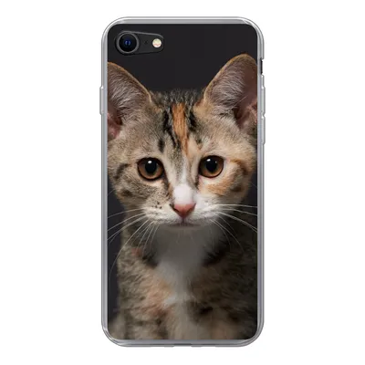 Produktbild von MuchoWow® Handyhülle Schutzhülle Hülle für iPhone SE 2020 Katze - Schwarz - Porträt Silikon Softcase Handy Hülle - Kartenbesitzer