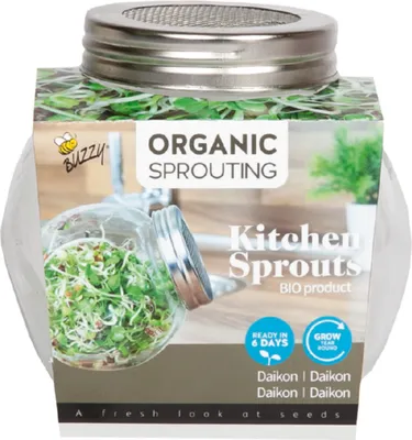 Produktbild von Keimgemüse Winterrettich Raphanus - Biologisch inkl. Anzuchtset - Gemüsesamen