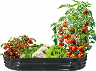 Produktbild von HOCHBEET 240x120x30cm Oval Anthrazit Pflanzenbeet Gartenbeet Pflanzkübel Blumenkasten Gemüsebeet Frühbeet Kräuterbeet Beeteinfassung Beetrand 8441