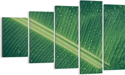Produktbild von Bild auf Leinwand - Leinwandbild - 5 Teile - Makro Blatt Tropfen - 100x60cm - Wand Bild - Wanddeko - Wandbilder - Leinwanddruck - Bilder - Wanddekoration - Leinwand bilder - Wandbild - EG100x60-4372