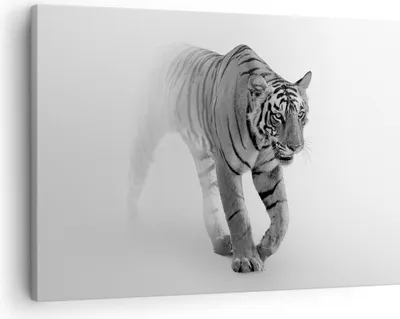 Produktbild von Bild auf Leinwand - Leinwandbild - Einteilig - Tiger Monochrom Porträt - 70x50cm - Wand Bild - Wanddeko - Wandbilder - Leinwanddruck - Bilder - Wanddekoration - Leinwand bilder - AA70x50-4626