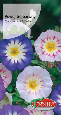 Produktbild von Samen von Trichomonium gemischt 3g - Torseed