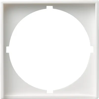 Image de Gira plaque centrale rws-gl pour interg.50x50 rond 028103