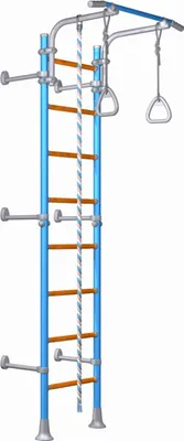 Produktbild von Wallbarz Sprossenwand Family mit Turnringen, EG-W-056