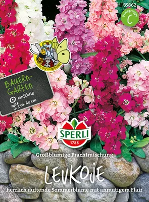 Produktbild von Sperli Levkojen Großblumige Prachtmischung - Blumensamen