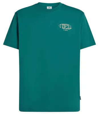 Productafbeelding van ONEILL WT O'NEILL T-shirt met boxlogo, groen, maat L
