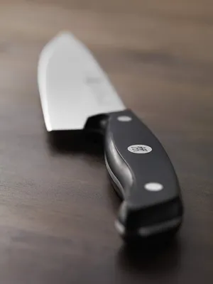 Obrázok produktu pre ZWILLING Gourmet, Stenčovací nôž, 10 cm, Nerezová oceľ, 1 kusov