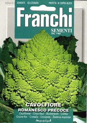 Produktbild von Franchi Sementi Gemüsesaatgut für Romanesco Blumenkohl, Sorte Precoce 30/51