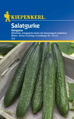 Produktbild von Kiepenkerl Salatgurkensamen Gergana