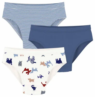 Productafbeelding van Petit Bateau jongensondergoed, model A0fig, voor dagelijks gebruik, variant 1, maat 12 jaar