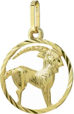 Produktbild von Steinbock Sternzeichen 333 Gelbgold 8 Karat 15mm Kettenanhänger Horoskop Zodiak