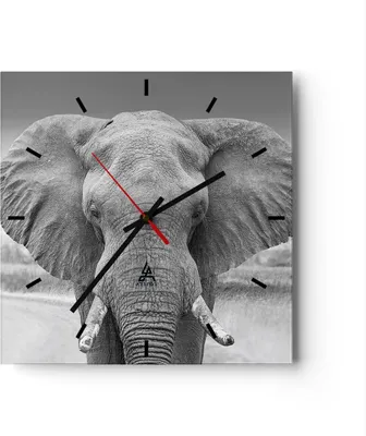 Produktbild von Wanduhr - Quadrat - Glasuhr - Elefant Afrika Tier - 30x30cm - Schleichendes Uhrwerk - Lautlos - zum Aufhängen bereit - Dekoration Modern - Wanddekoration aus Glas - C3AC30x30-5072