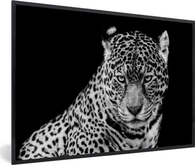 Produktbild von MuchoWow® Gerahmtes Poster Leopard - Tiere - Schwarz - Weiß - Porträt 90x60 cm - Poster mit Schwarzem Bilderrahmen Wandposter Rahmen Foto Bilder - Fotorahmen - Foto-Plakat