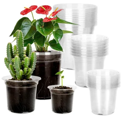Immagine prodotto di Vasi per la germinazione, vasi per piante trasparenti, 9/10/12,7 cm, plastica, set da 15 pezzi