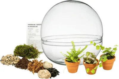 Obrázek produktu pro Gardners Skleněné terárium boule OSÁZEJ SI SÁM vlhkomilně, L