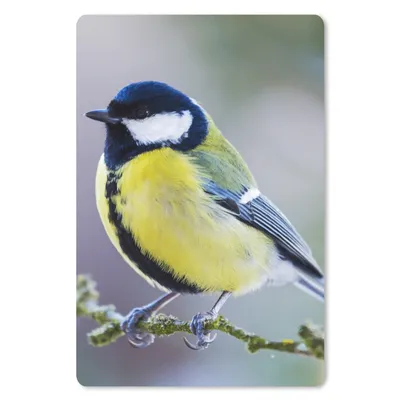 Produktbild von MuchoWow® Mauspad Mousepad Kohlmeise - Vogel - Zweig 40x60 cm - Mousepads - Maus Mat - Pad - Mausunterlage - Schreibtisch Accesoire