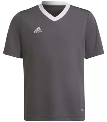 Produktbild von adidas Entrada 22 Trikot 176 TEGRFO