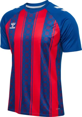 Produktbild von Hummel hmlMatch Striped Jersey