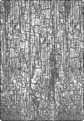 Produktbild von Sizzix A5 3D-Prägeschablone by Tim Holtz Cracked