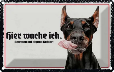 Produktbild von vianmo Blechschild 20x30 cm Doberman hier wache ich Hund