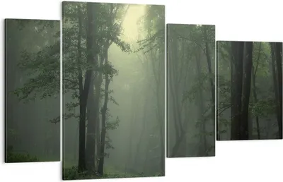 Produktbild von Bild auf Leinwand - Leinwandbild - Wald Nebel Baum - 120x70cm - Wand Bild - Wanddeko - Wandbilder - Leinwanddruck - Bilder - Kunstdruck - Wanddekoration - Leinwand bilder - Wandkunst - DL120x70-3543