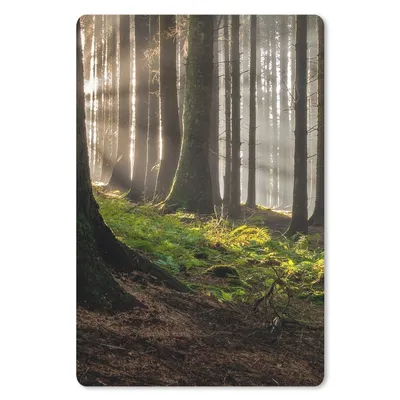 Produktbild von MuchoWow® Mauspad Mousepad Sonne - Äste - Bäume - Wald - Natur 18x27 cm - Mousepads - Maus Mat - Pad - Mausunterlage