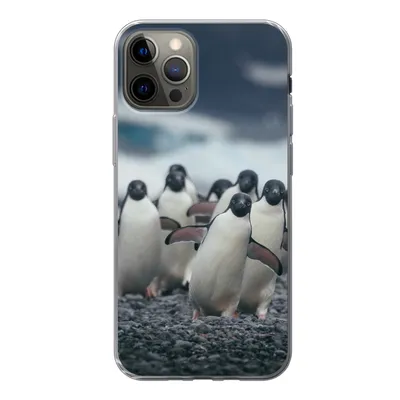 Produktbild von MuchoWow® Handyhülle Schutzhülle Hülle für iPhone 13 Pro Adeliepinguine am Strand Silikon Softcase Handy Hülle - Handy-Tasche