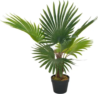 Produktbild von vidaXL Künstliche Pflanze Palme mit Topf Grün 70 cm