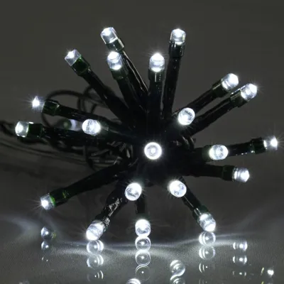 Image de Guirlande exterieur 100Led Blanc
